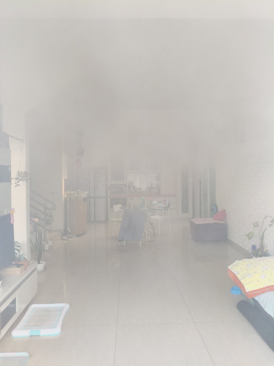 Jims (💤) tweet media