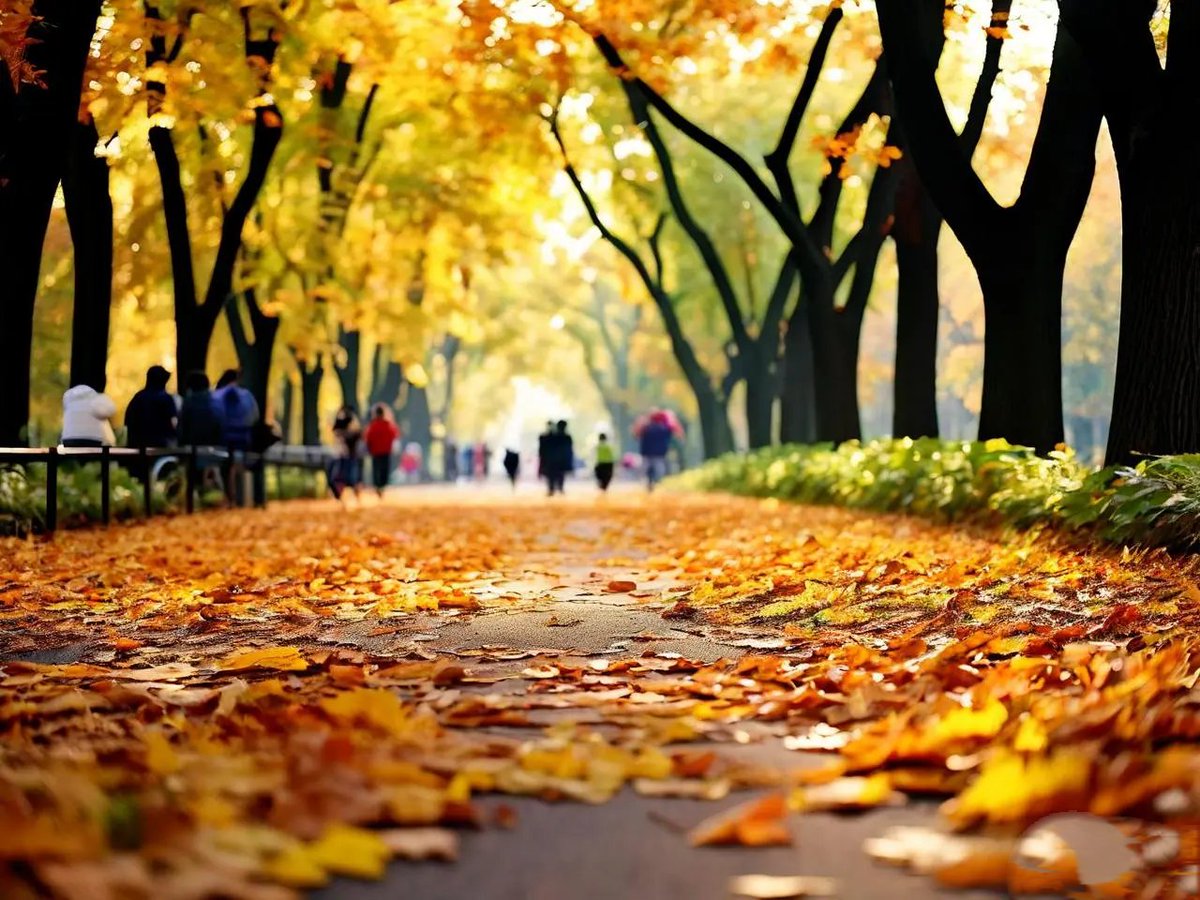 KatieMontgomer1's tweet image. Autumn breeze + golden sunsets = perfect evening walks  #FallVibes