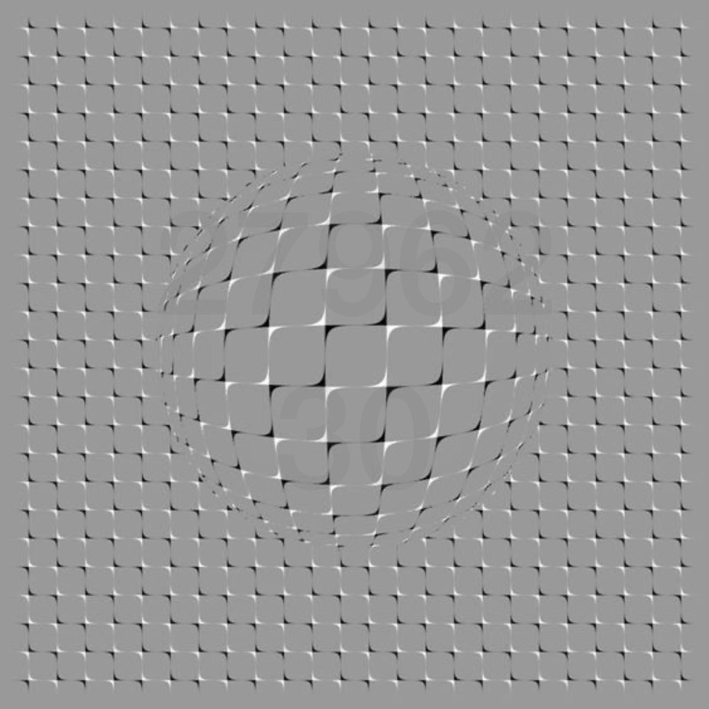 Fan Mazi Tuunde tweet media