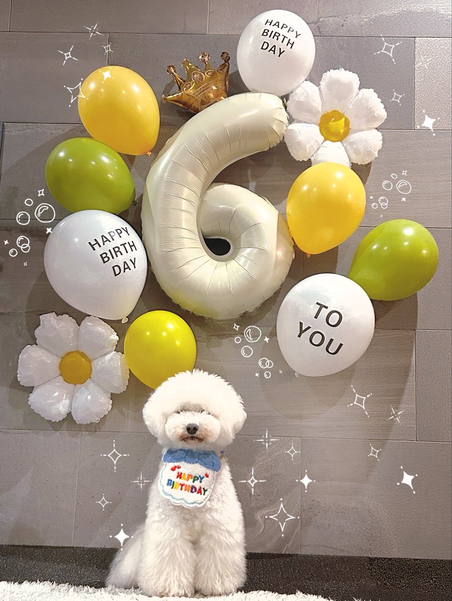 佳凪きの〈Kolokol〉 tweet media