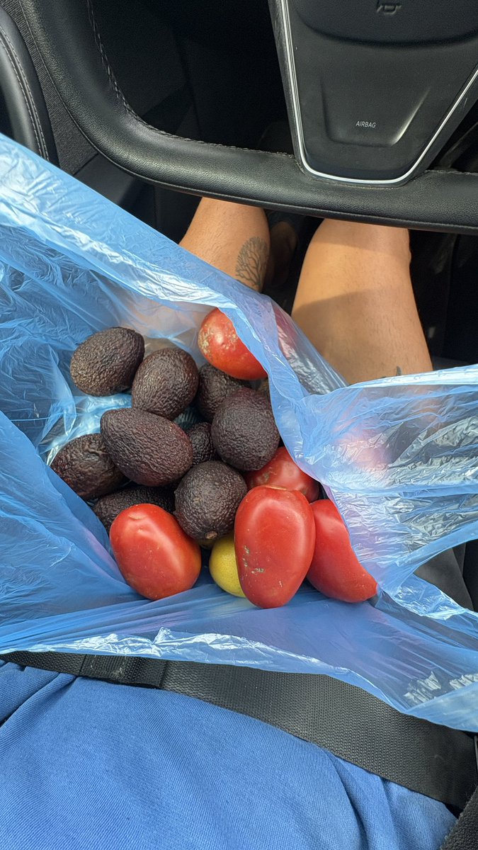 Sandro van Kuijck tweet media