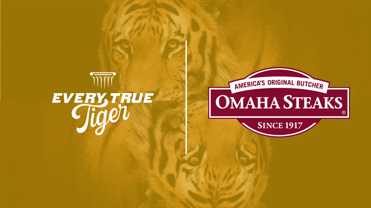 Drew King 🏀 tweet media