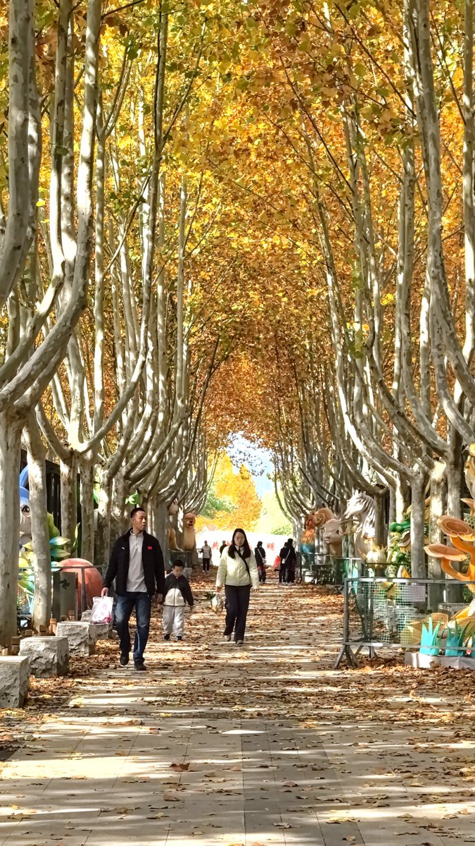 Christine L. tweet media