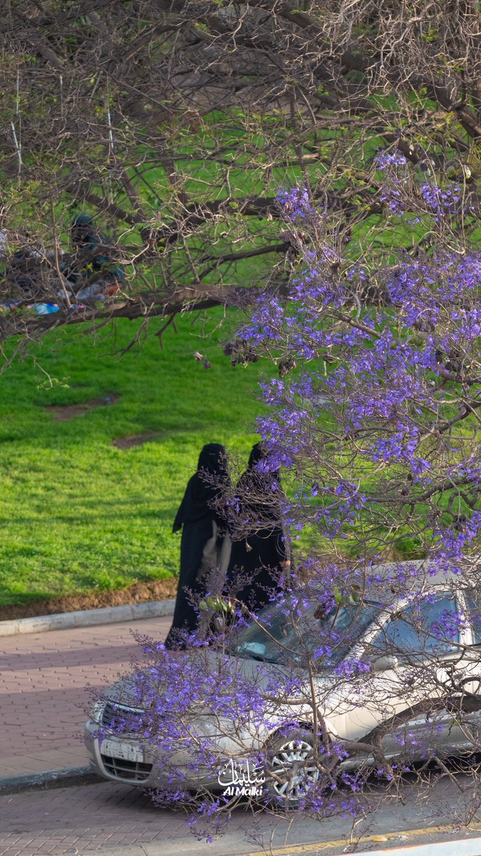 سليمان المالكي 🎙️ tweet media