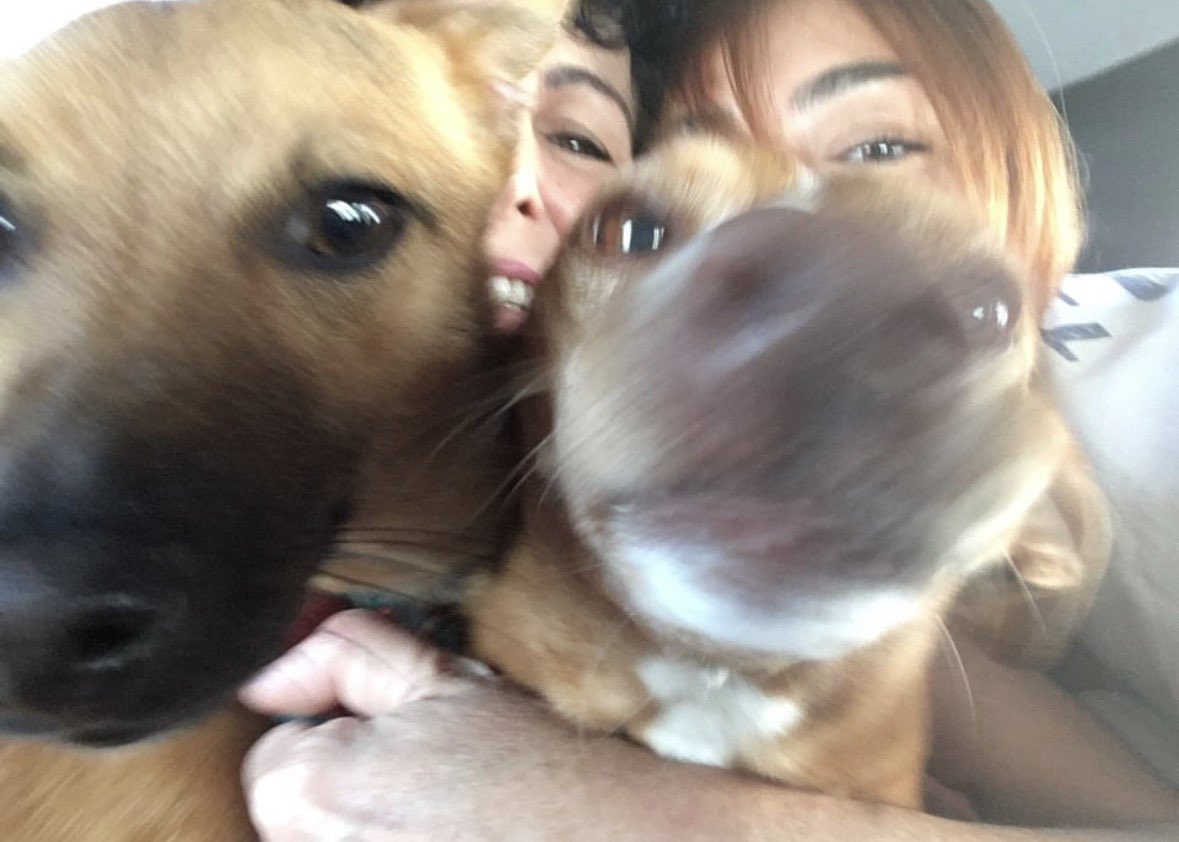 👩🏼‍🦰 tweet media