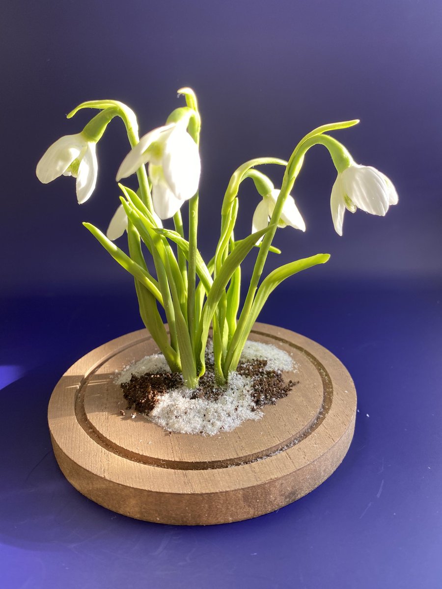 Надежда No war! Victory for Ukraine!🇵🇱🤍💙🤍 tweet media