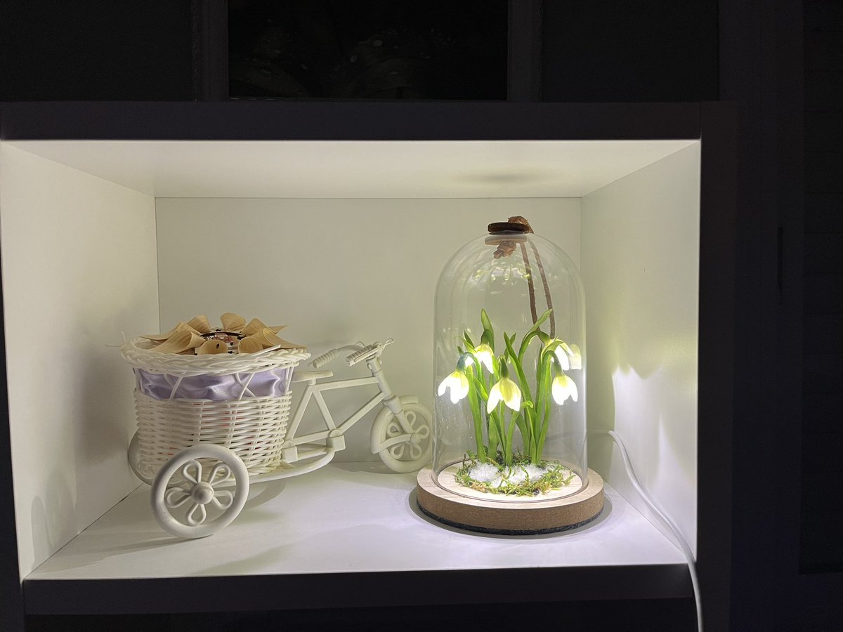 Надежда No war! Victory for Ukraine!🇵🇱🤍💙🤍 tweet media