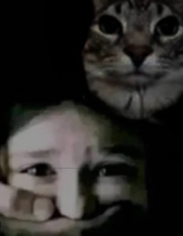 rav 🍏 invincible s4 !!! tweet media