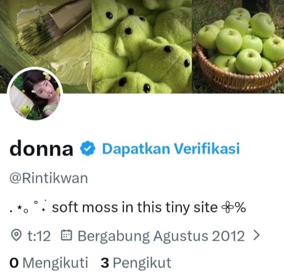 Elliora ✿˳ tweet media