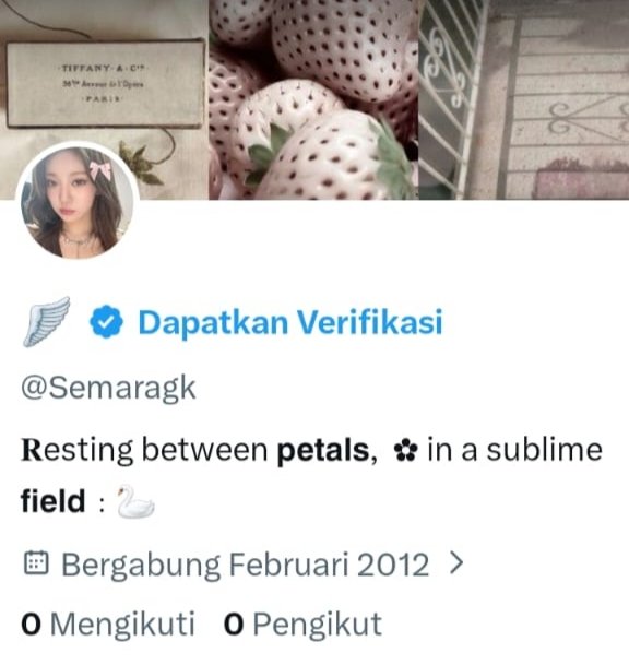 Elliora ✿˳ tweet media