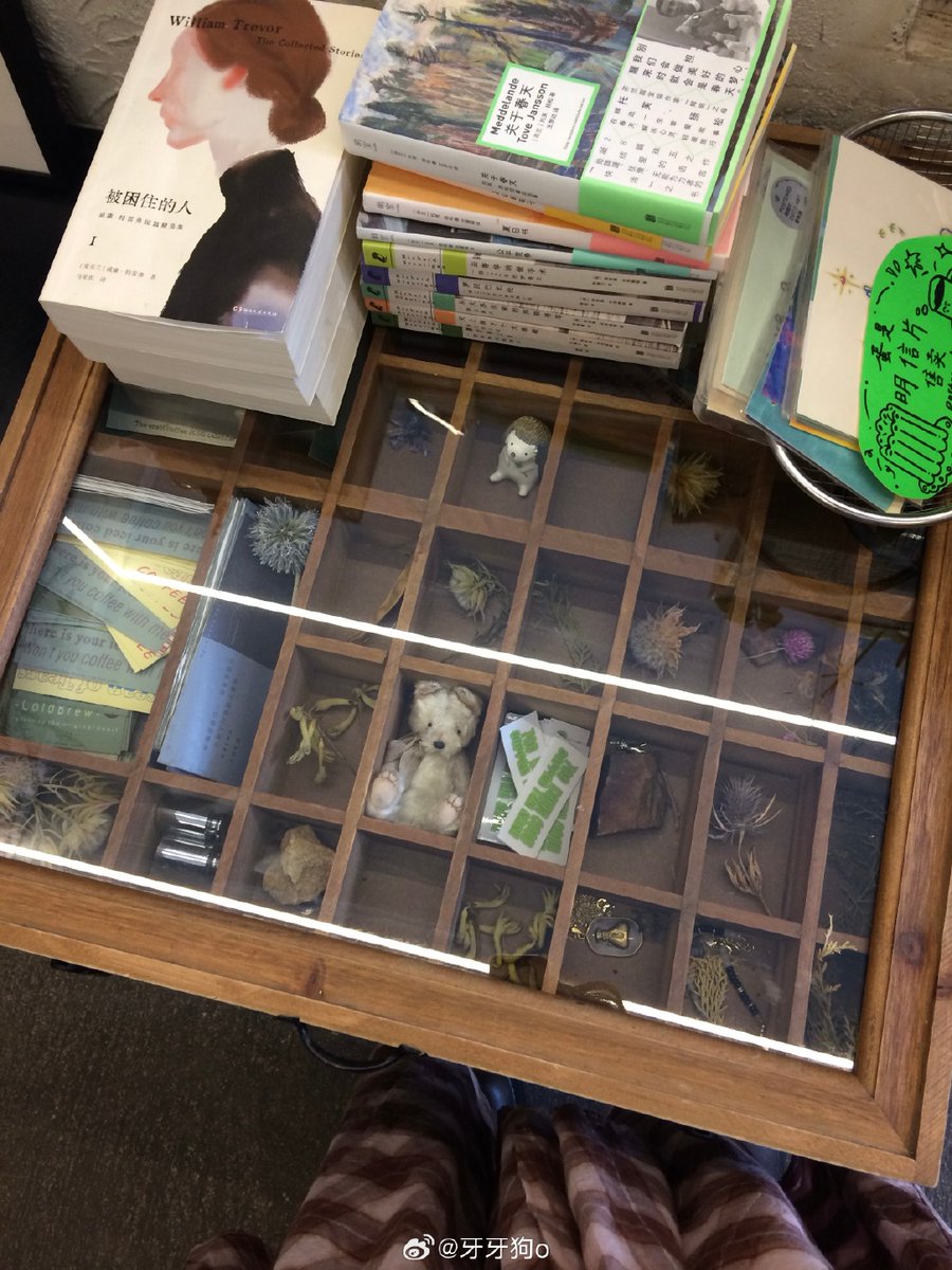 lekha patel tweet media