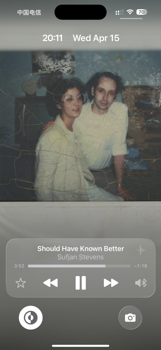 流浪猫 tweet media