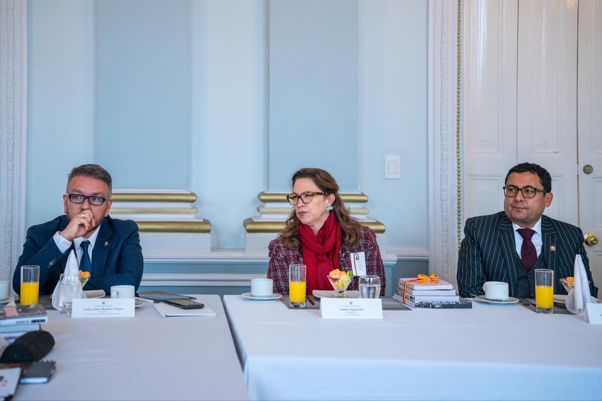 Comisión Nacional de Disciplina Judicial tweet media