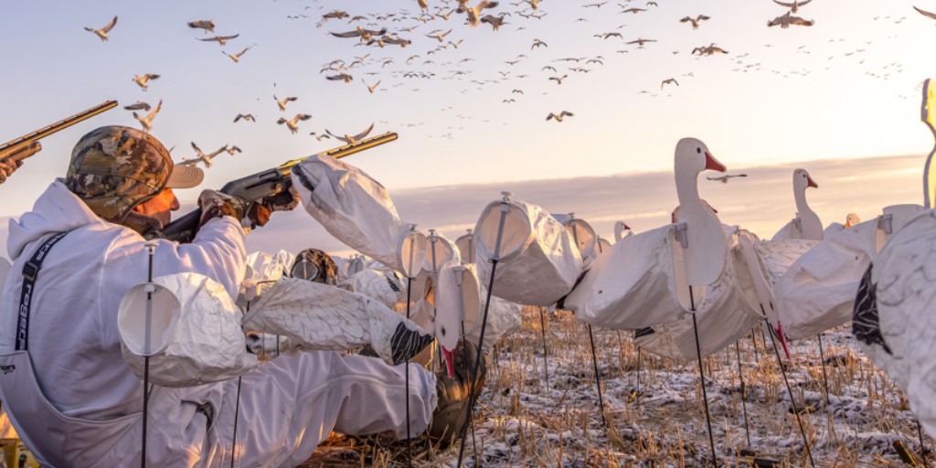 Benelli USA tweet media