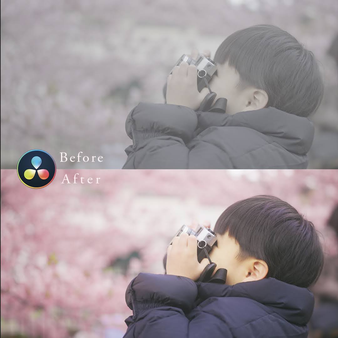 Tomohiro Nakaya tweet media