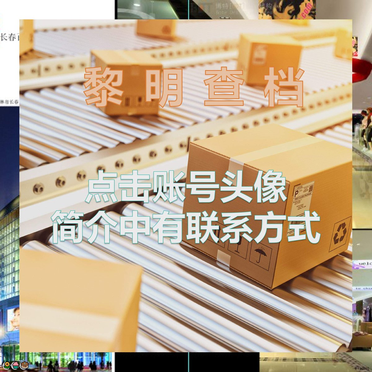 Robin Manus tweet media