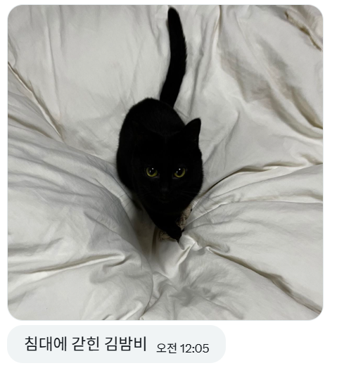 제왕 tweet media