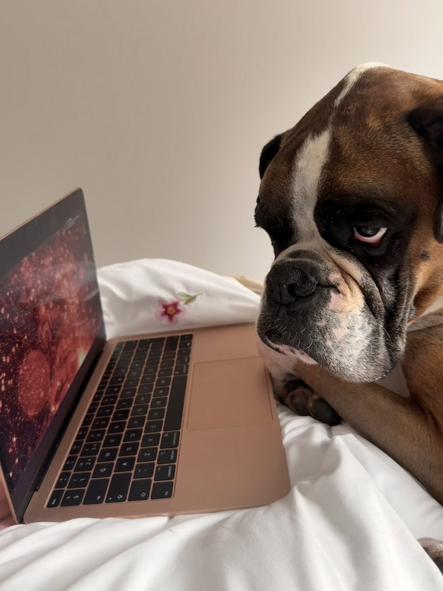 project hail chlo ☻ tweet media