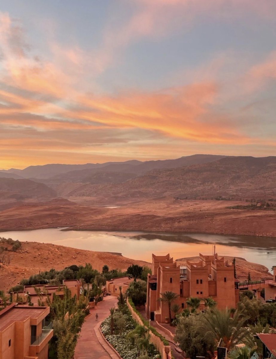 WORLD 2026 🌊 tweet media