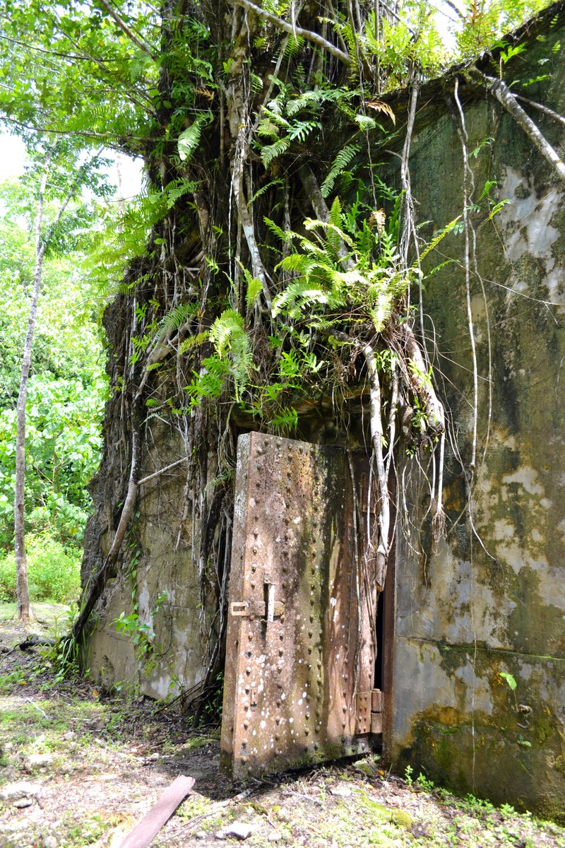 An old japanese bunker on Peleliu - Old Japanese Air HQ - 2012