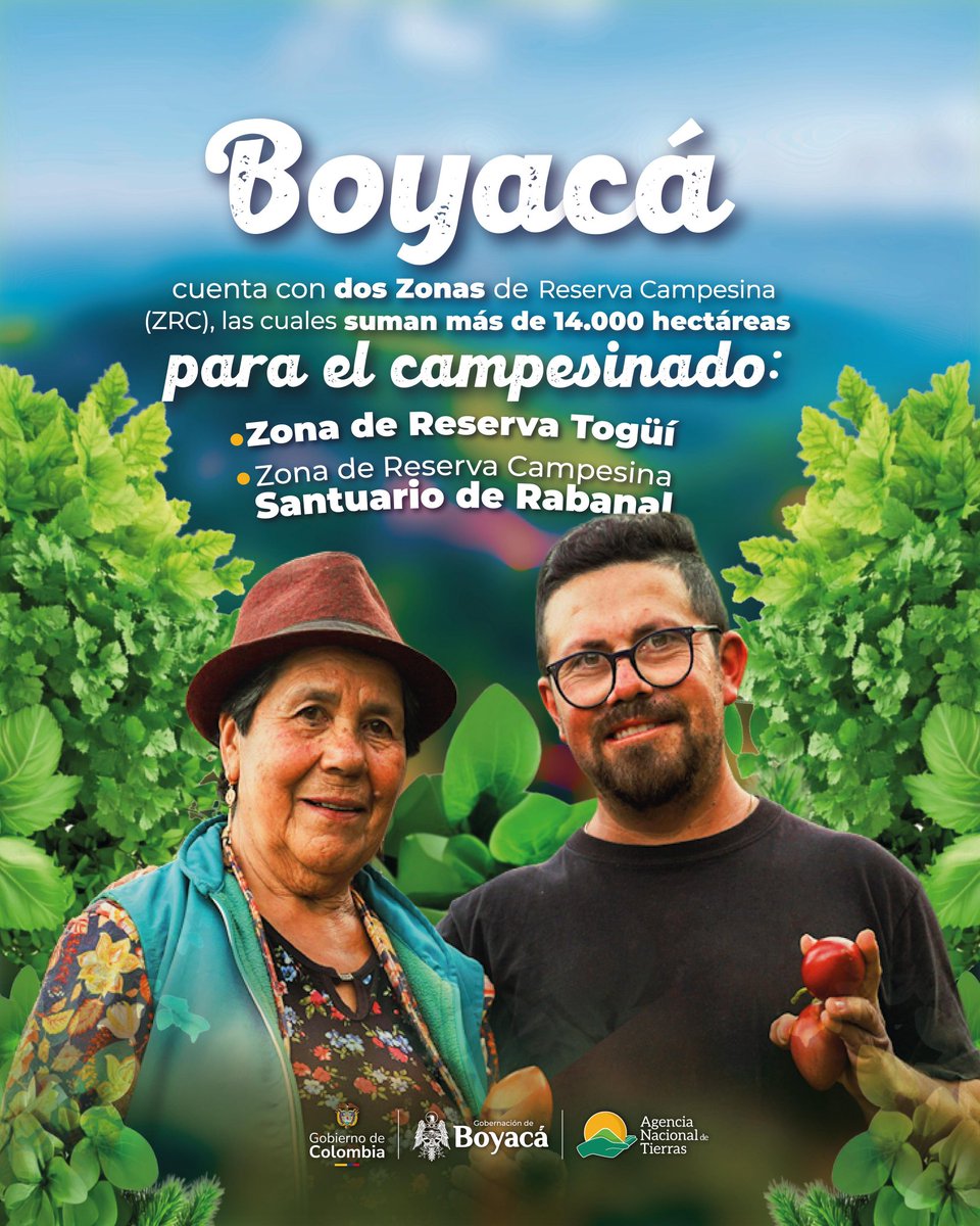 Estas dos Zonas de Reserva Campesina benefician a más 3.380 familias de los municipios de Ventaquemada, Samacá y Togüí, lo que permite proteger el territorio y controlar la expansión de la frontera agropecuaria evitando la deforestación ambiental.

 #TítulosPorBoyacá
