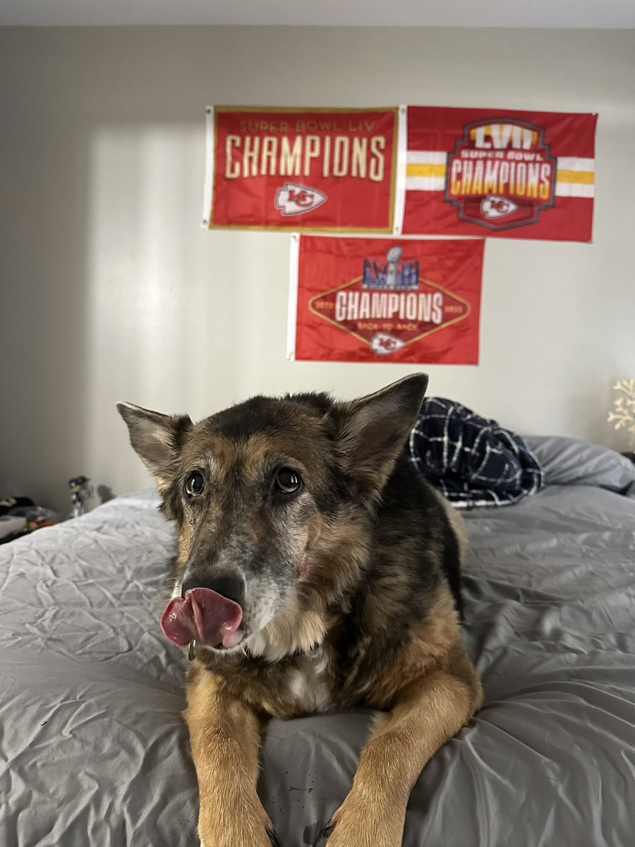 Pranav Sriraman tweet media