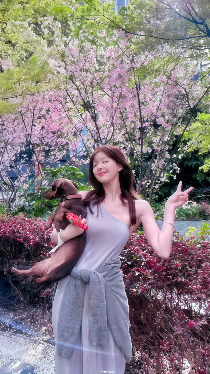 Dong Gua 冬瓜 tweet media