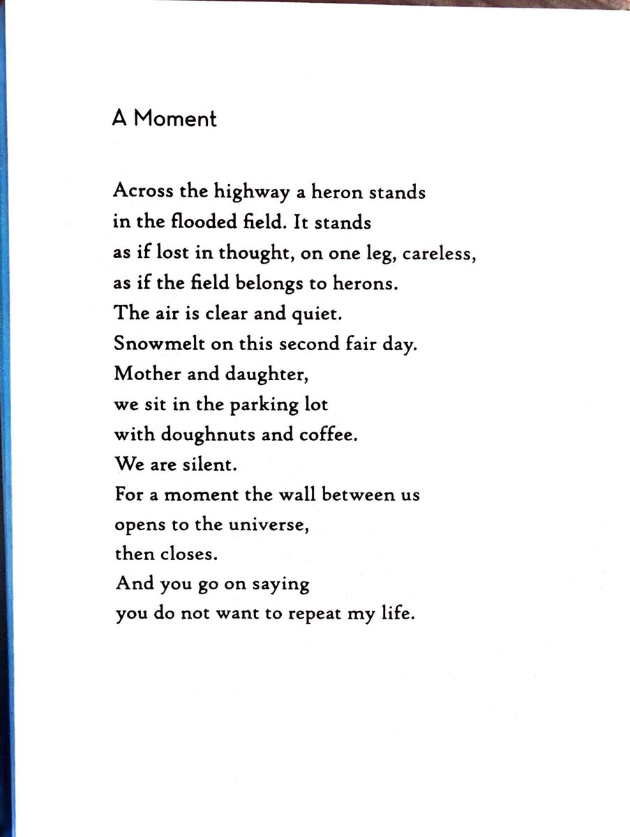 Bianca Stone tweet media