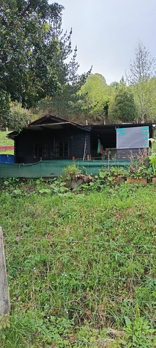 Eukeni Sustaeta Oianguren🏳️‍🌈🇲🇰🇵🇸🇷🇺 tweet media