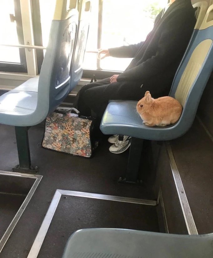 dani ٭∗*⭒٭ tweet media