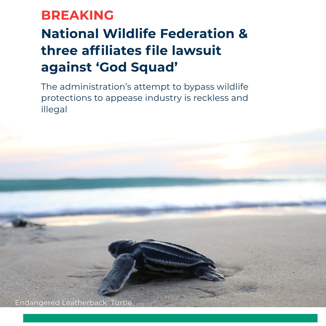 National Wildlife Federation tweet media