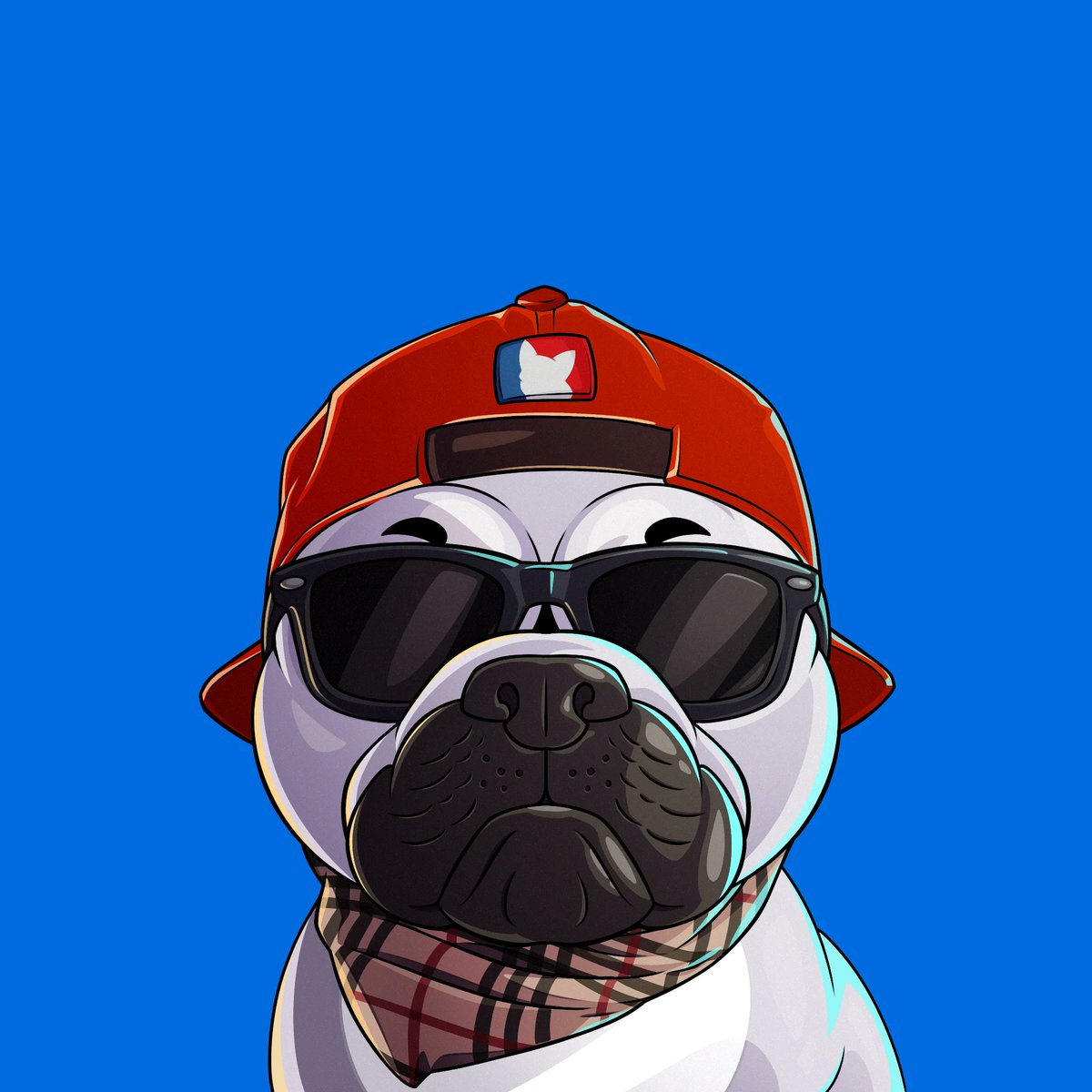 First-class Frenchies tweet media