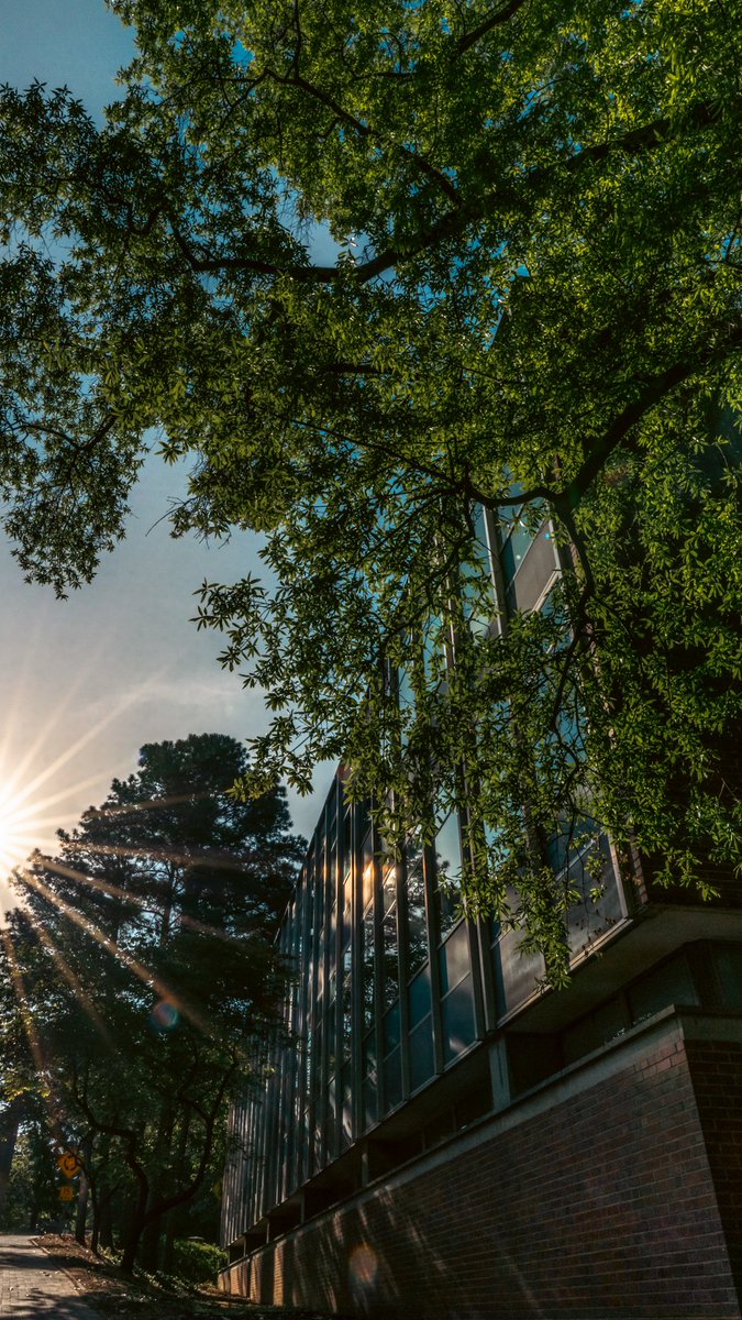 NC State College of Design tweet media