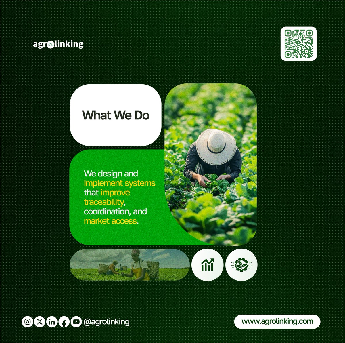 AgroLinking's tweet photo. Every strong food system runs on trust, transparent coordination and reliable data.

At Agrolinking Solutions Limited, we work with farmers, agribusinesses, and institutions to build systems that improve traceability, strengthen market access, and support sustainable growth across Africa.

Explore our services and partner with us today. Let’s build better agricultural systems together.

#Agrolinking #AgTrail  #Agribusiness #FoodSystems