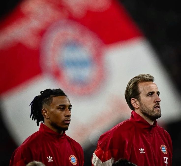 Sincerão tweet media