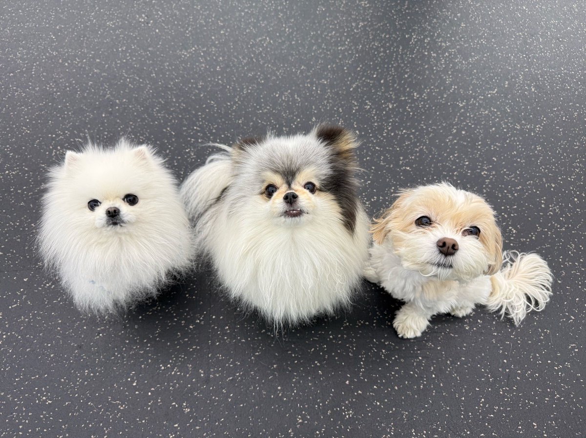 여리❤️ tweet media