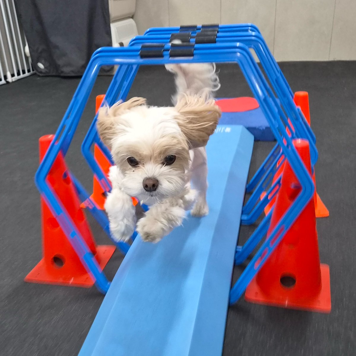 여리❤️ tweet media