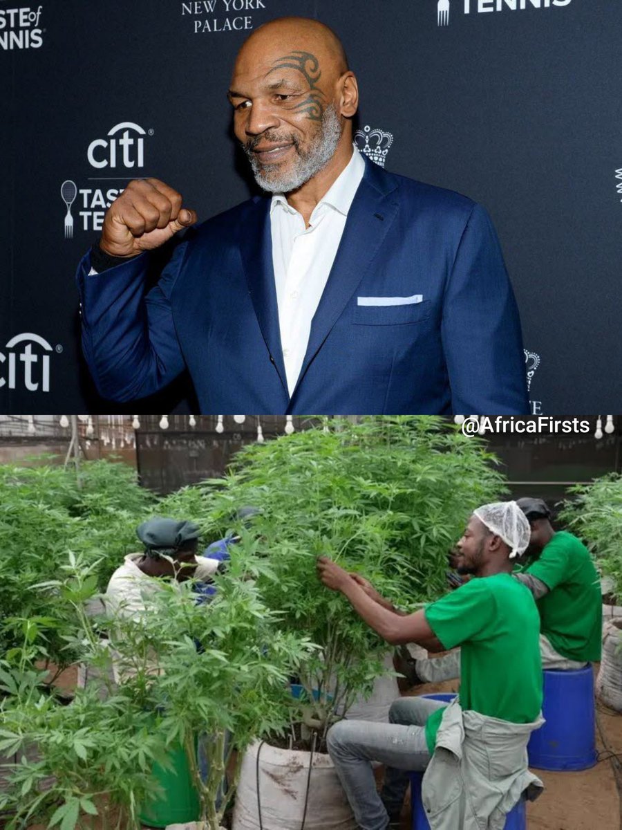 Africa First tweet media