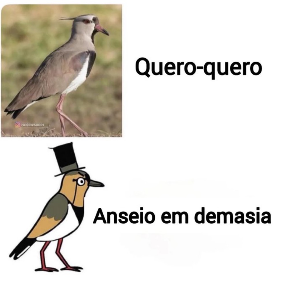 Se você rir, vai pro inferno tweet media