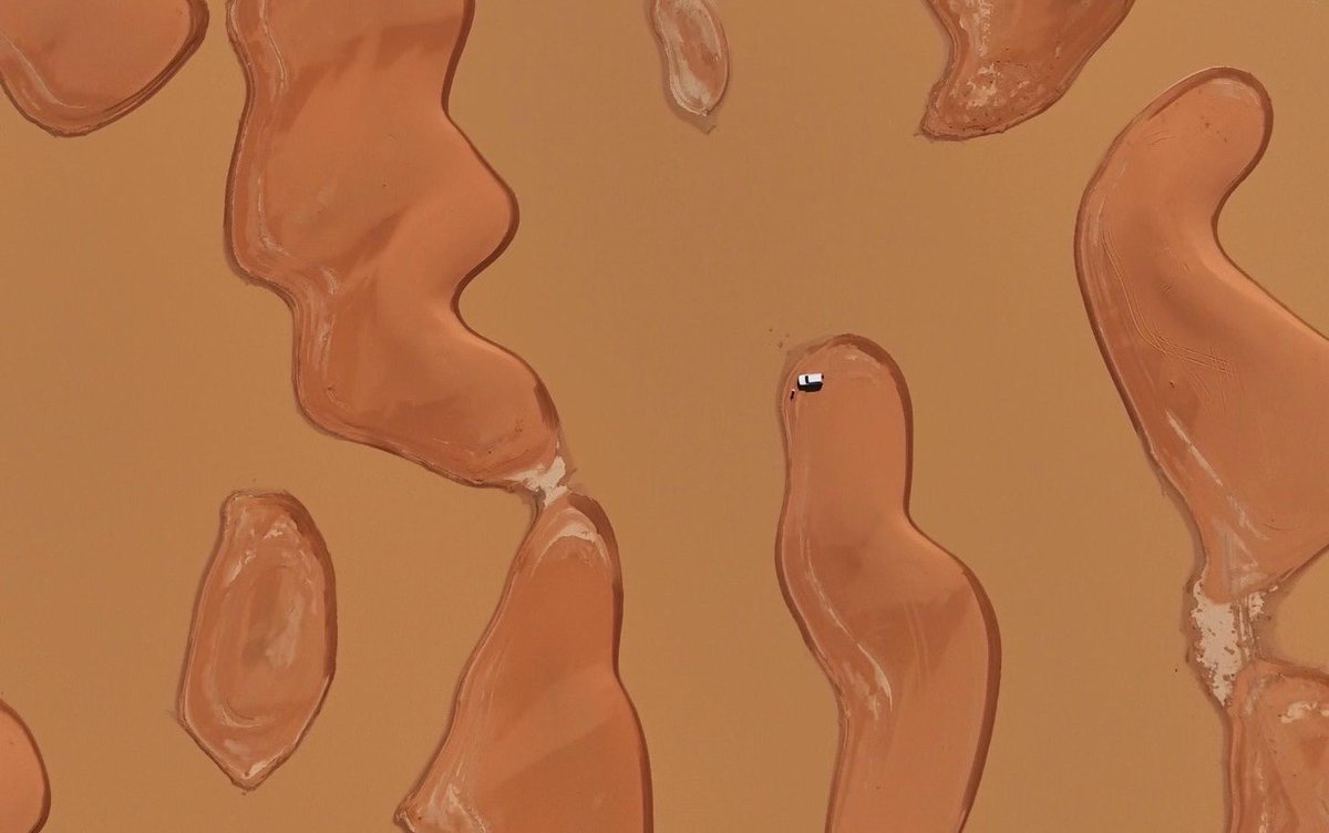 مس ناني tweet media