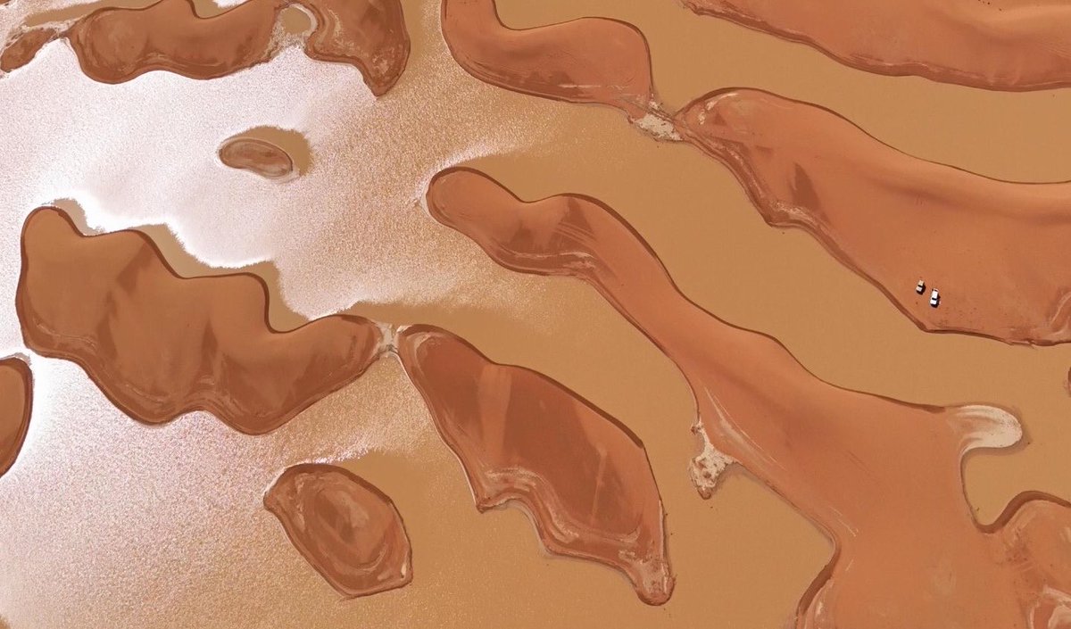 مس ناني tweet media