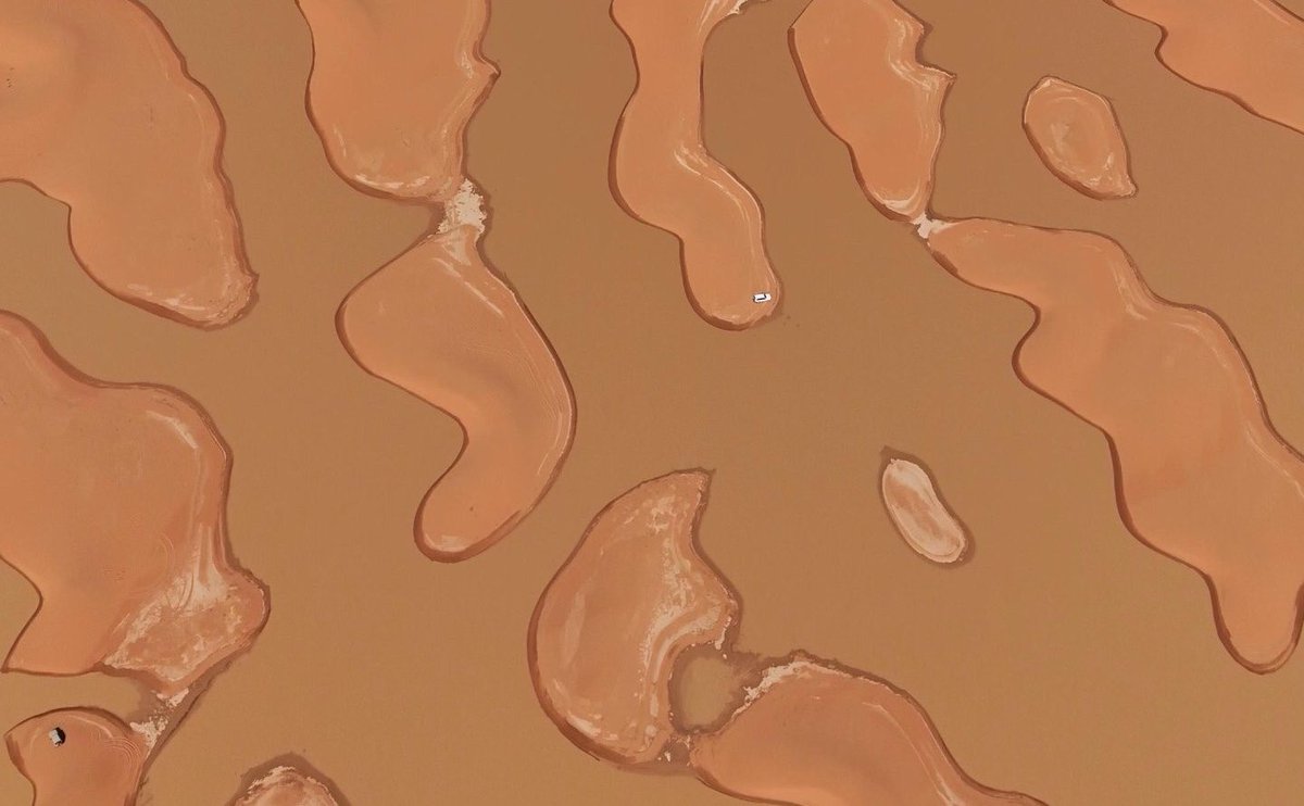 مس ناني tweet media