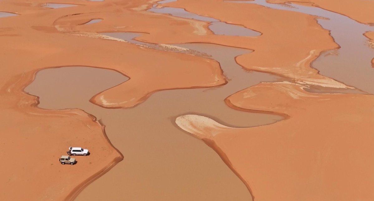 مس ناني tweet media