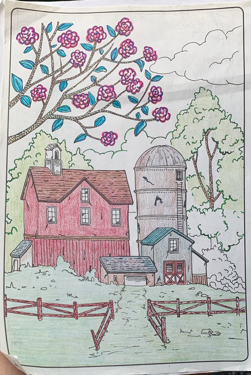 Lil Luna tweet media