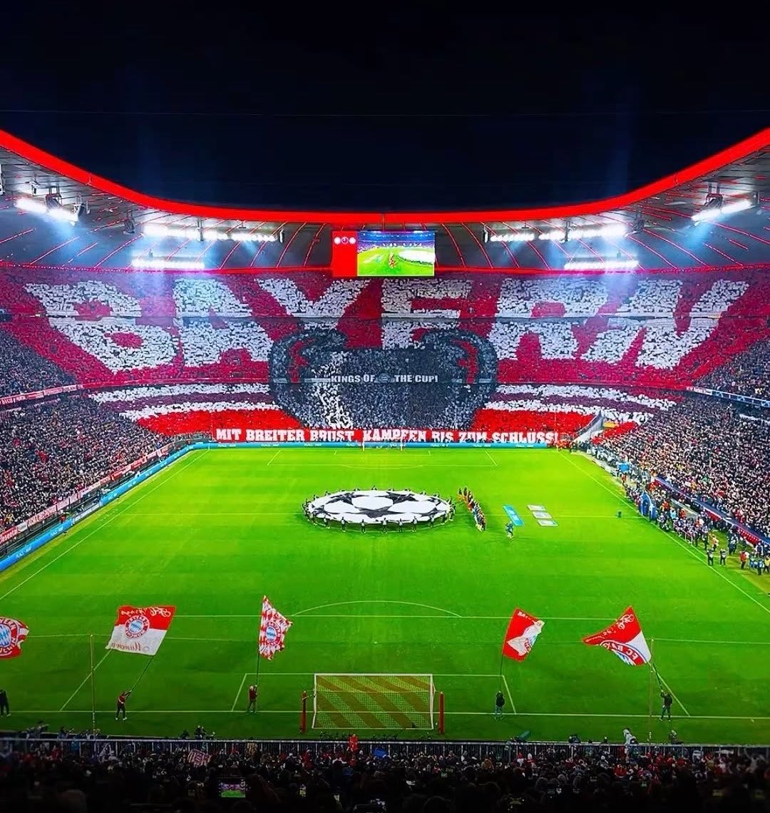 Sheeerox ™️⚡️ tweet media