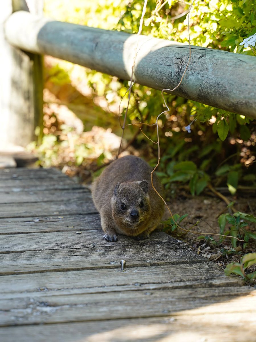 CaseWBase tweet media