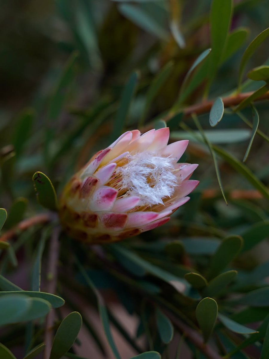 CaseWBase tweet media