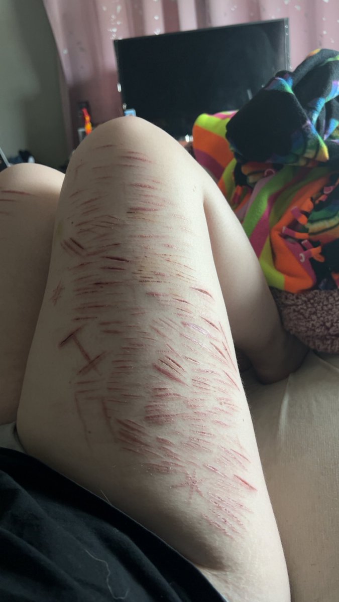 rainbowdash of shedtwt tweet media