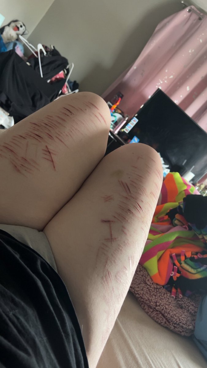 rainbowdash of shedtwt tweet media