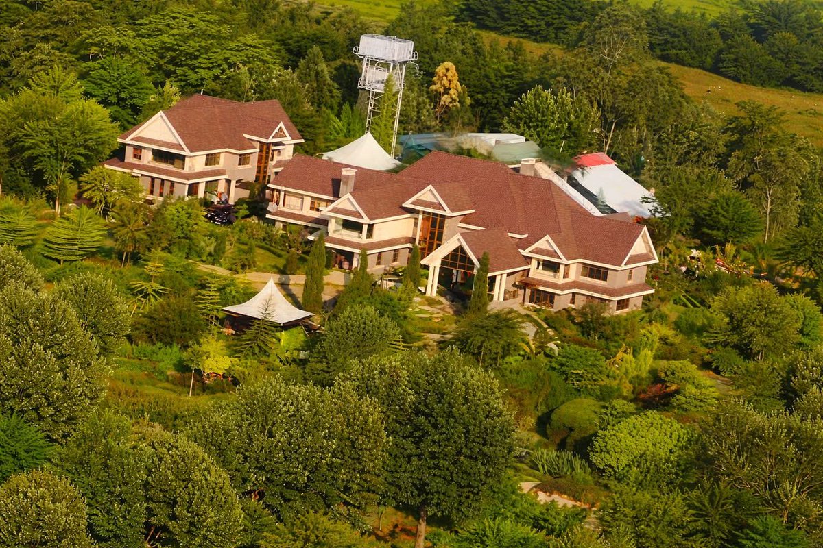 George T. Diano tweet media